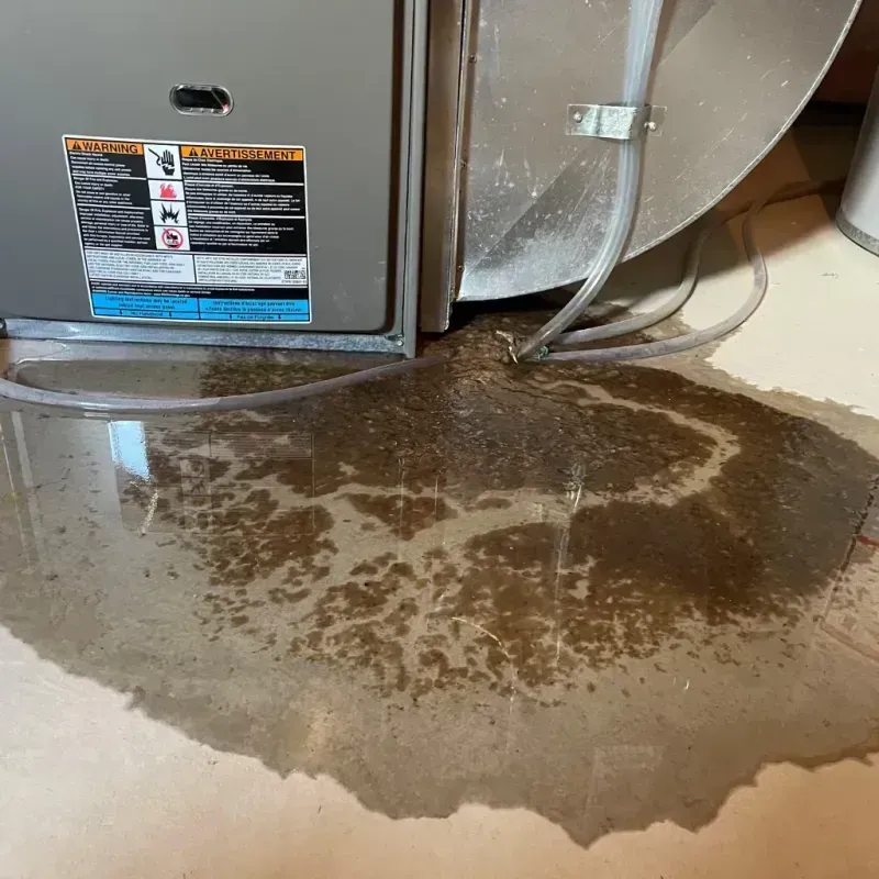 Appliance Leak Cleanup in Hudspeth County, TX